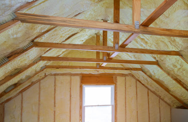 Best Home Insulation Services  in Dolton, IL