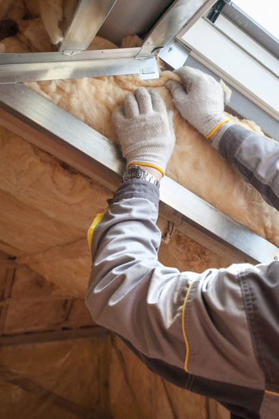 Best Insulation Installation Cost  in Dolton, IL